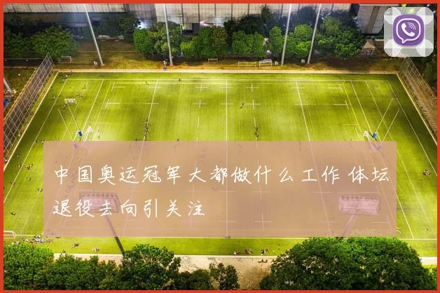 中国奥运冠军大都做什么工作 体坛退役去向引关注