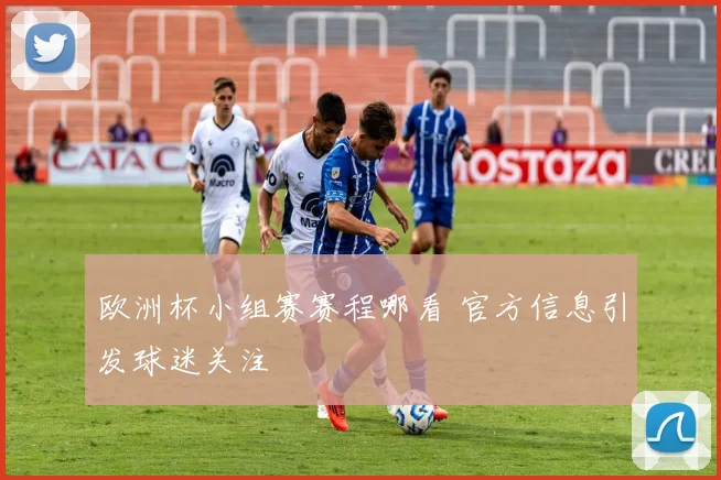 欧洲杯小组赛赛程哪看 官方信息引发球迷关注