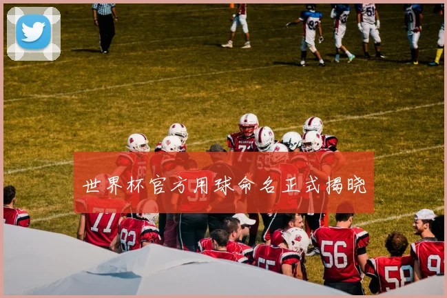 世界杯官方用球命名正式揭晓