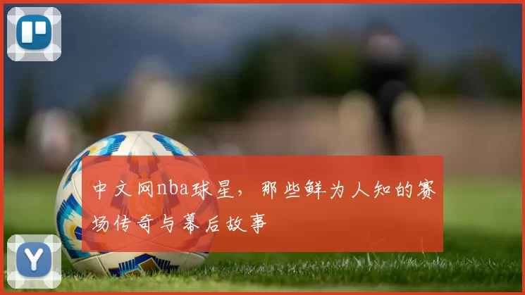 中文网nba球星,那些鲜为人知的赛场传奇与幕后故事