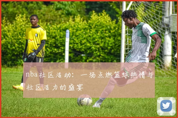 nba社区活动:一场点燃篮球热情与社区活力的盛宴