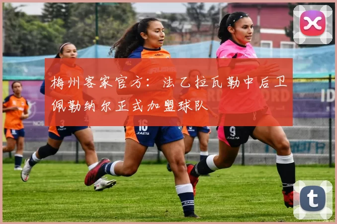 梅州客家官方:法乙拉瓦勒中后卫佩勒纳尔正式加盟球队