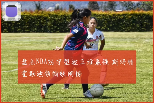 盘点NBA防守型控卫谁最强 斯玛特霍勒迪领衔铁闸榜